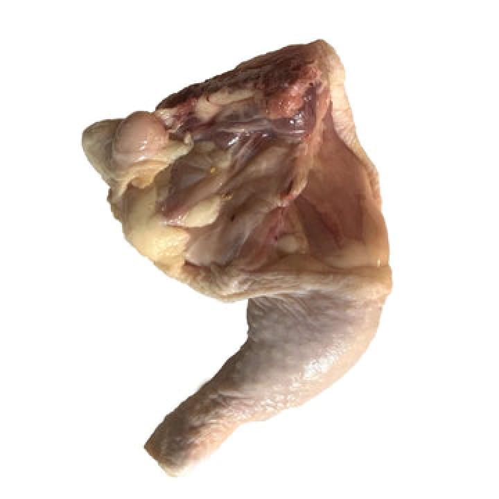 Chicken Quarter Cut (kg)
